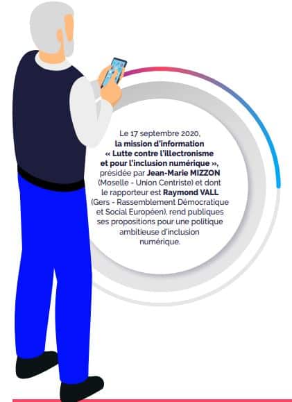 Rapport Lutte contre lillectronisme et inclusion numérique